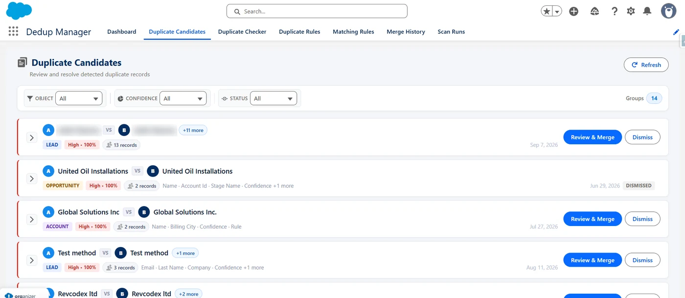 The duplicate candidates review queue with filters and grouped matches.
